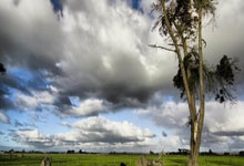 乌拉圭为何不与中国建交?事实是,乌拉圭早已与中国建交!